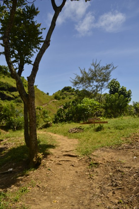 _dsc0765